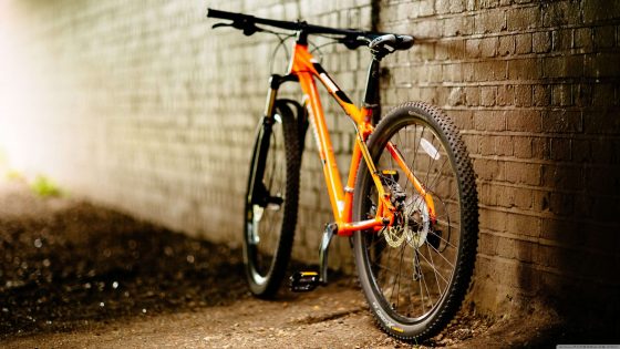Best MTB cycles in India Under 15000